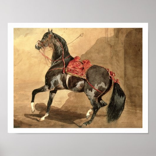 Een Arabisch paard (w/c op papier gezet) Poster (Voorkant)