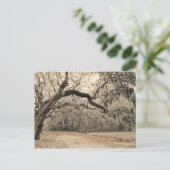 Een Arch of Oakes postkaart (Staand voorkant)