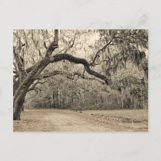 Een Arch of Oakes postkaart (Voorkant)