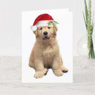 Een Archie Kerstmis Kaart