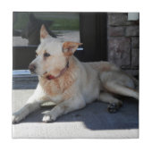 Een artikel van de Dog WIth Tegeltje (Voorkant)
