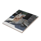 Een artikel van de Dog WIth Tegeltje (Zijkant)