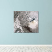 Een asrijke pluim stijgt canvas afdruk (Insitu (Houten vloer))