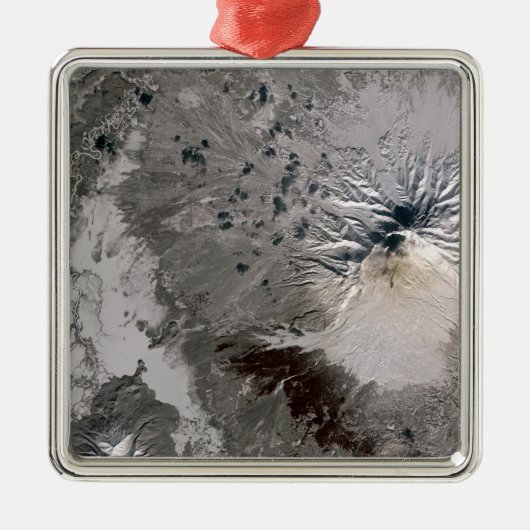 Een asrijke pluim stijgt metalen ornament (Voorkant)