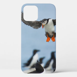 EEN ATLANTISCHE PUFFIN DIE MET ZIJN WIL IN AANLAND Case-Mate iPhone CASE