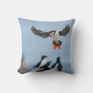 EEN ATLANTISCHE PUFFIN DIE MET ZIJN WIL IN AANLAND KUSSEN