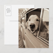 Een auto-raam uitsteken briefkaart (Voorkant / Achterkant)