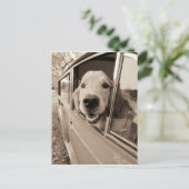 Een auto-raam uitsteken briefkaart (Staand voorkant)