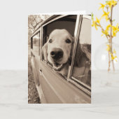 Een auto-raam uitsteken kaart (Gele Bloem)