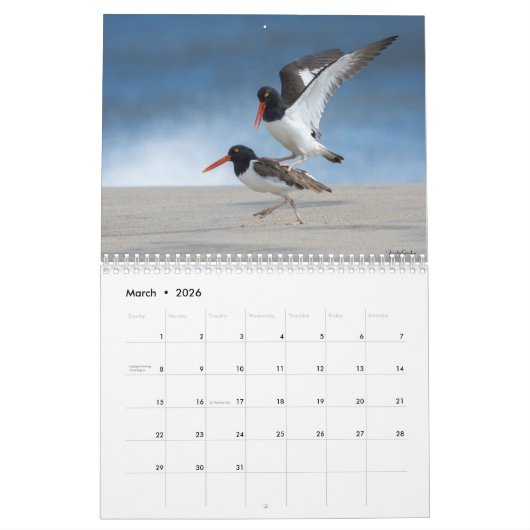 Een Avian Potpourri 2025 Kalender (Mar 2026)