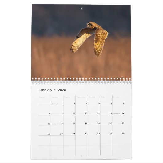 Een Avian Potpourri 2025 Kalender (Feb 2026)