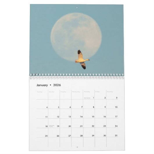 Een Avian Potpourri 2025 Kalender (Jan 2026)