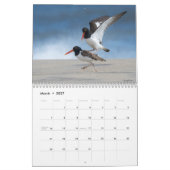 Een Avian Potpourri 2025 Kalender (Mar 2027)