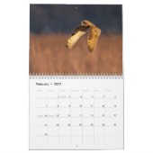 Een Avian Potpourri 2025 Kalender (Feb 2027)