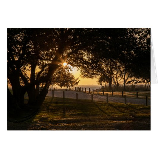 Een avond in Whalehead (Voorkant Horizontaal)