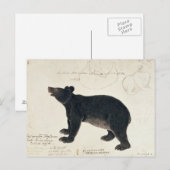 Een Aziatisch zwart Beer, "Ursus Tibetanus" Briefkaart (Voorkant / Achterkant)