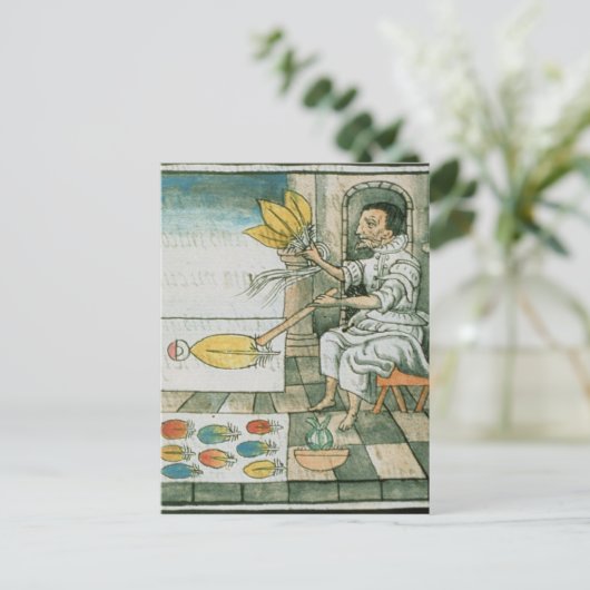 Een Aztec-vetherartisan Briefkaart (Staand voorkant)