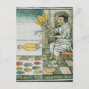 Een Aztec-vetherartisan Briefkaart