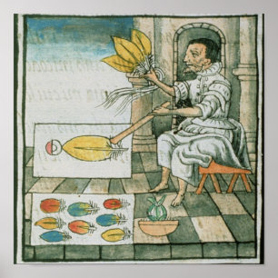 Een Aztec-vetherartisan Poster