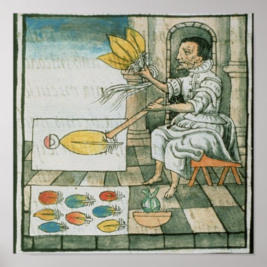 Een Aztec-vetherartisan Poster (Voorkant)