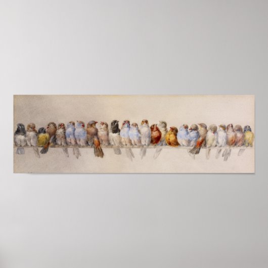 Een baars van vogels (1880) Hector Giacomelli Poster (Voorkant)