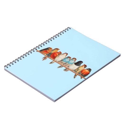 Een baars van vogels - Hector Giacomelli Notitieboek (Linkerzijde)