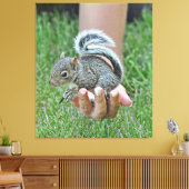 Een Baby eekhoorn in de hand van een vrouw Canvas Afdruk (Insitu (Woonkamer))