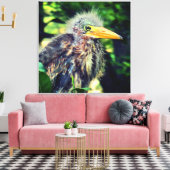 Een baby groene reiger canvas afdruk (Insitu (Woonkamer))