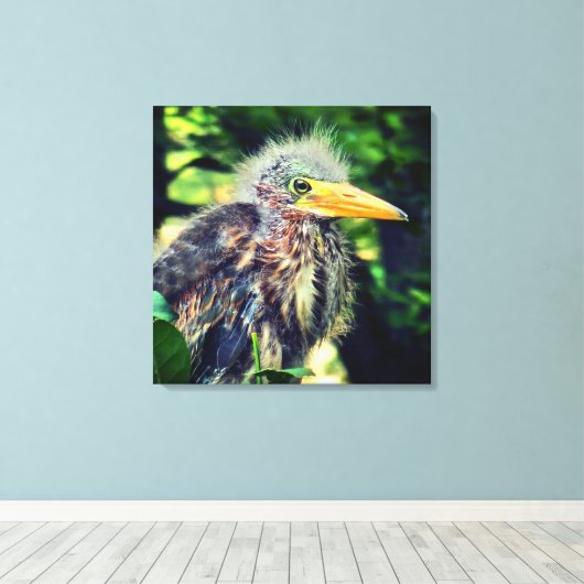 Een baby groene reiger canvas afdruk (Insitu (Houten vloer))
