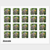 Een baby groene reiger vierkante sticker (Vel)