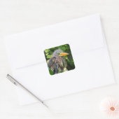 Een baby groene reiger vierkante sticker (Envelop)