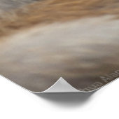 Een Baby Macaque en moeder. Poster (Hoek)