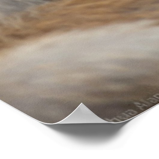 Een Baby Macaque en moeder. Poster (Hoek)