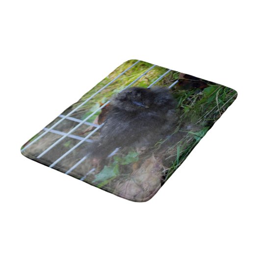 Een baby Silkie Badmat (Gekanteld)