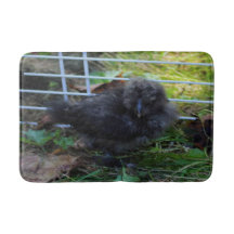 Een baby Silkie