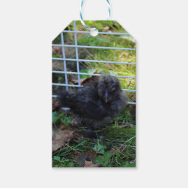 Een baby Silkie Cadeaulabel