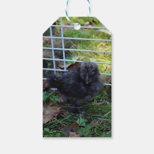 Een baby Silkie Cadeaulabel (Voorkant)