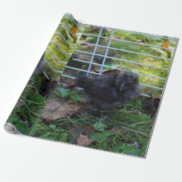 Een baby Silkie Cadeaupapier