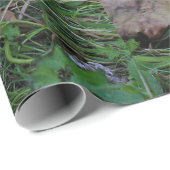 Een baby Silkie Cadeaupapier (Rol Hoek)