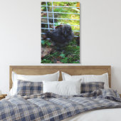 Een baby Silkie Canvas Afdruk (Insitu (Slaapkamer))