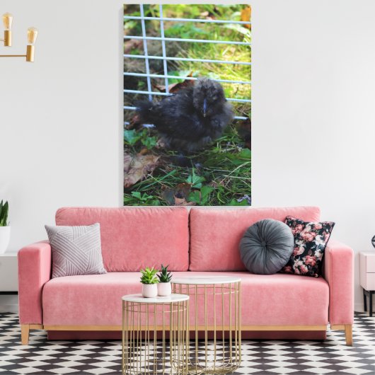 Een baby Silkie Canvas Afdruk (Insitu (Woonkamer))