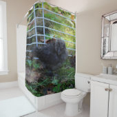 Een baby Silkie Douchegordijn (In situ)