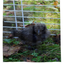 Een baby Silkie Douchegordijn