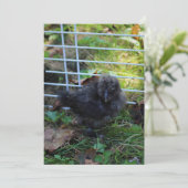 Een baby Silkie Kaart (Staand voorkant)