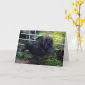 Een Baby Silkie Kaart (Gele Bloem)