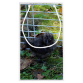 Een baby Silkie Klein Cadeauzakje (Achterkant)