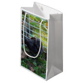 Een baby Silkie Klein Cadeauzakje (Voorkant Gekanteld)