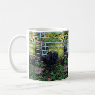 Een baby Silkie Koffiemok