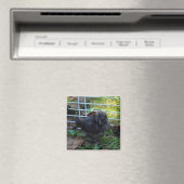 Een baby Silkie Magneet (Insitu (Vaatwasser))