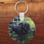 Een baby Silkie Sleutelhanger (Voorkant)